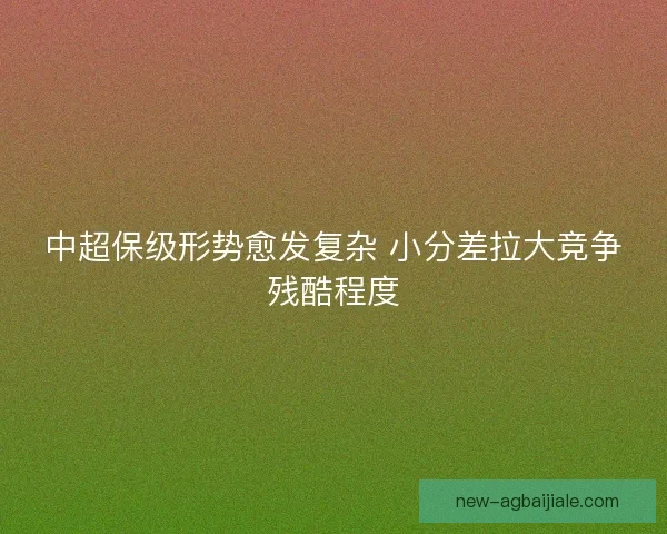 中超保级形势愈发复杂 小分差拉大竞争残酷程度 中超保级形势愈发复杂 小分差拉大竞争残酷程度